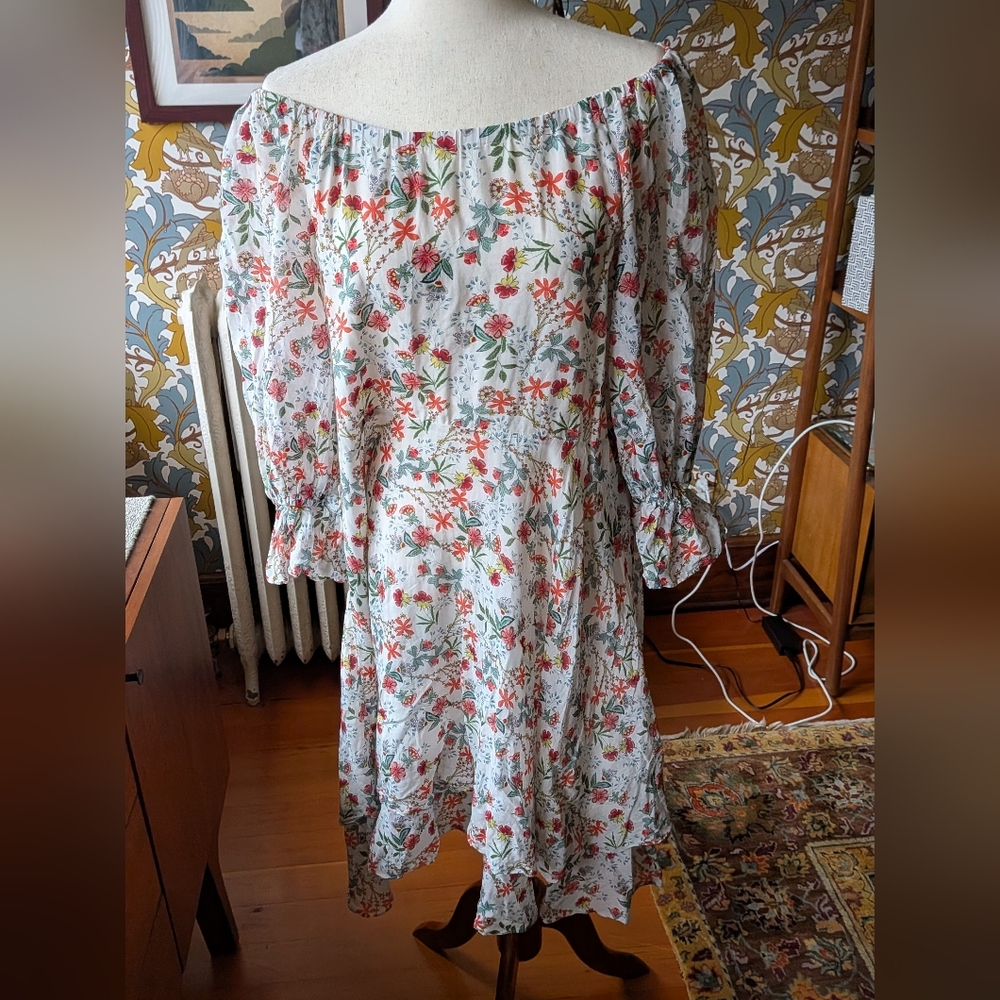 Alice + Olivia Floral Long Sleeve Dress